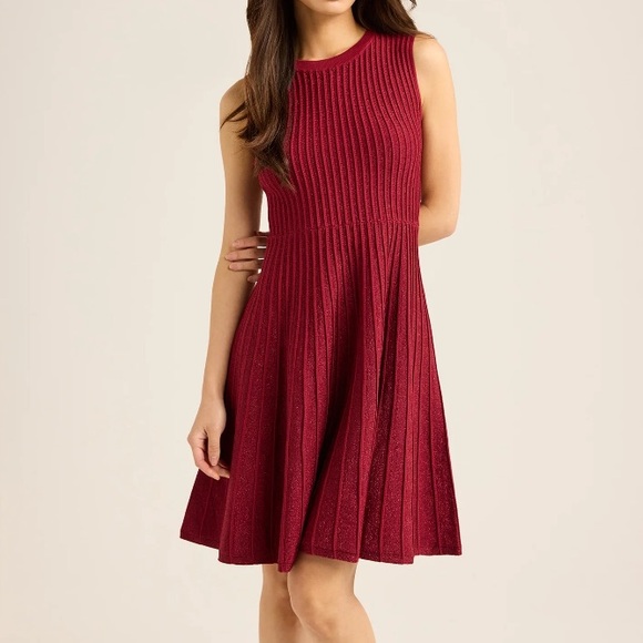 Scoop Dresses & Skirts - 🔵 Scoop Women’s Metallic Knit Mini Flare Dress NWT size large
